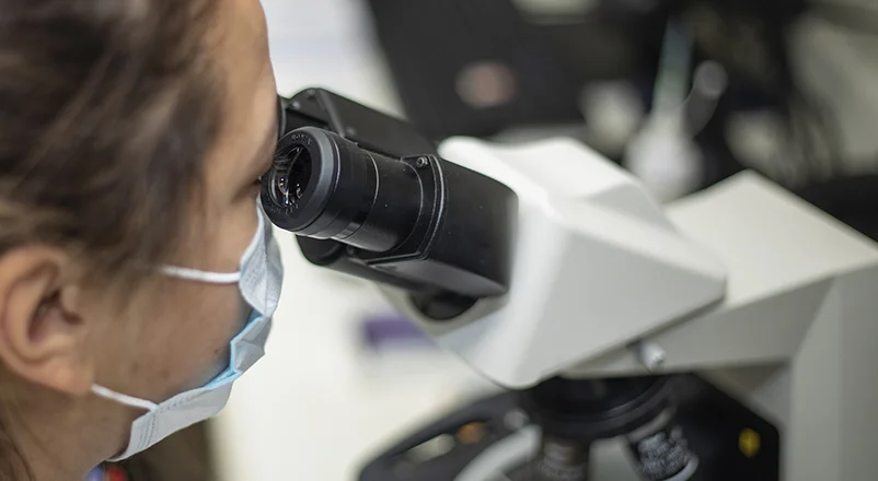 Bioquimica