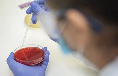 Microbiologia